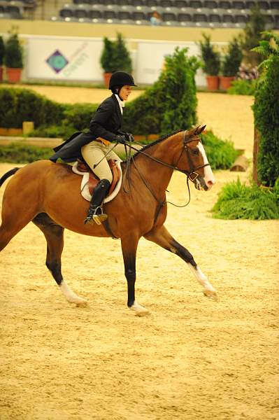 USHJA-Derby-8-20-10-DER_7992-QRnd1-Onassis-SarahWard-DDeRosaPhoto.jpg