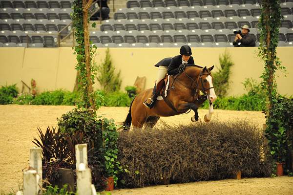 USHJA-Derby-8-20-10-DER_8003-QRnd1-Onassis-SarahWard-DDeRosaPhoto.jpg