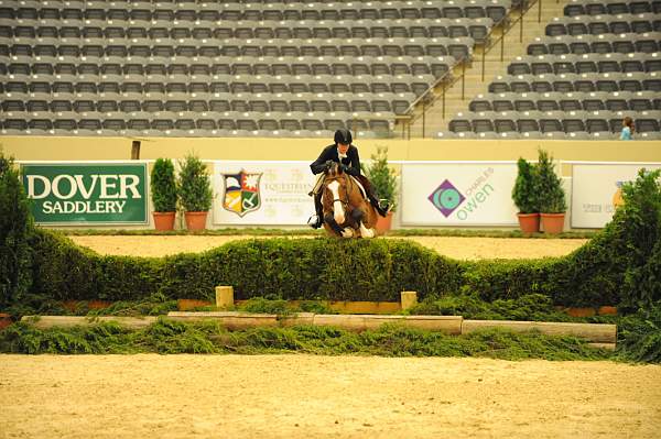 USHJA-Derby-8-20-10-DER_8004-QRnd1-Onassis-SarahWard-DDeRosaPhoto.jpg