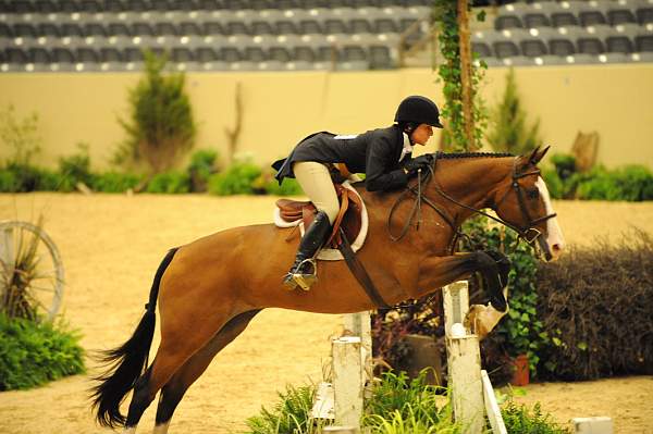 USHJA-Derby-8-20-10-DER_8005-QRnd1-Onassis-SarahWard-DDeRosaPhoto.jpg