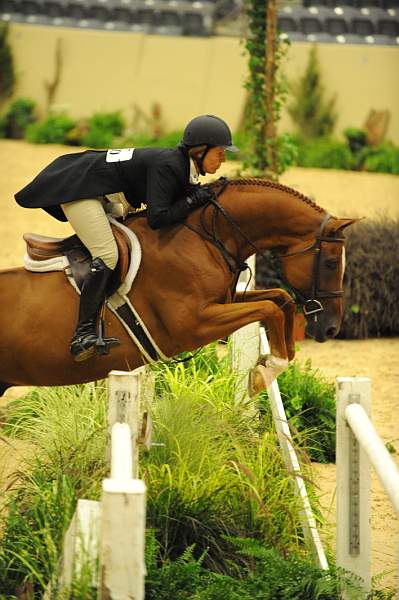 USHJA-Derby-8-20-10-DER_8065-QRnd1-SugarBoy-TammyProvost-DDeRosaPhoto.jpg