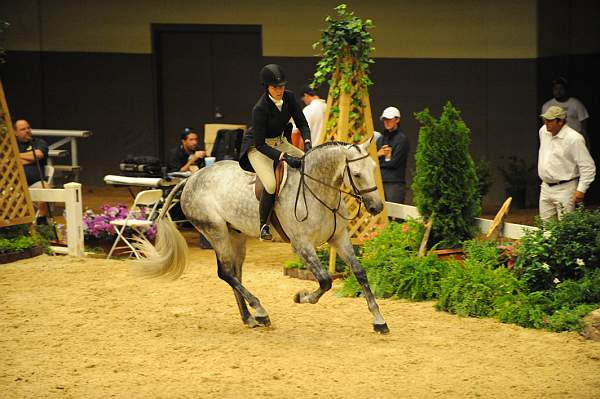 USHJA-Derby-8-20-10-DER_8177-QRnd1-CoolBoy-AbigailBlankenship-DDeRosaPhoto.jpg