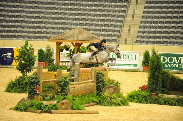 USHJA-Derby-8-20-10-DER_8181-QRnd1-CoolBoy-AbigailBlankenship-DDeRosaPhoto.jpg