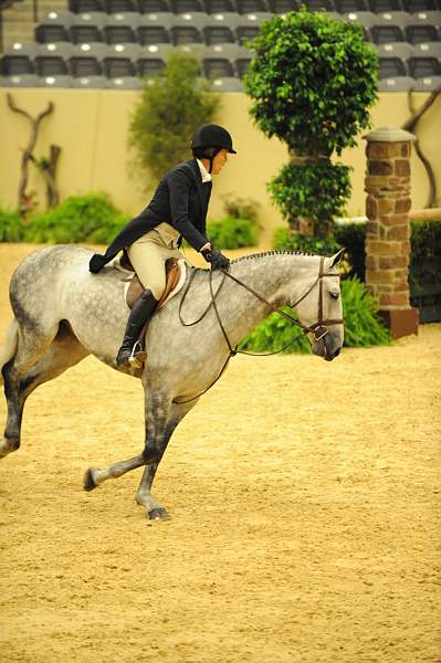 USHJA-Derby-8-20-10-DER_8184-QRnd1-CoolBoy-AbigailBlankenship-DDeRosaPhoto.jpg