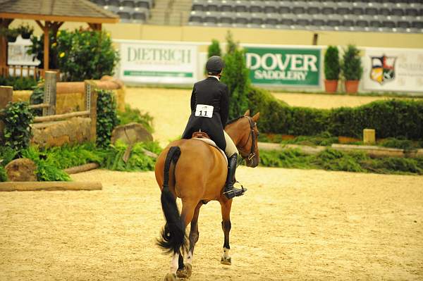 USHJA-Derby-8-20-10-DER_8223-QRnd1-CR Haribo-ColleenAcosta-DDeRosaPhoto.jpg