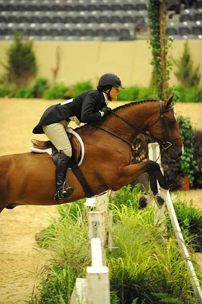 USHJA-Derby-8-20-10-DER_8225-QRnd1-CR Haribo-ColleenAcosta-DDeRosaPhoto.jpg