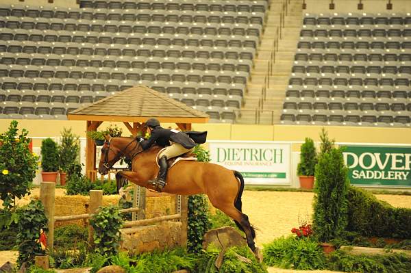 USHJA-Derby-8-20-10-DER_8231-QRnd1-CR Haribo-ColleenAcosta-DDeRosaPhoto.jpg