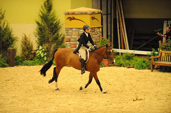 USHJA-Derby-8-20-10-DER_8234-QRnd1-CR Haribo-ColleenAcosta-DDeRosaPhoto.jpg