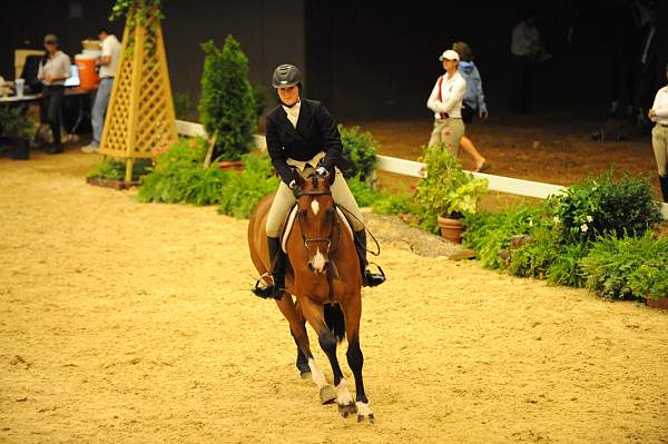 USHJA-Derby-8-20-10-DER_8235-QRnd1-CR Haribo-ColleenAcosta-DDeRosaPhoto.jpg