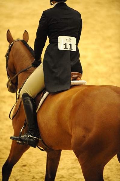 USHJA-Derby-8-20-10-DER_8237-QRnd1-CR Haribo-ColleenAcosta-DDeRosaPhoto.jpg