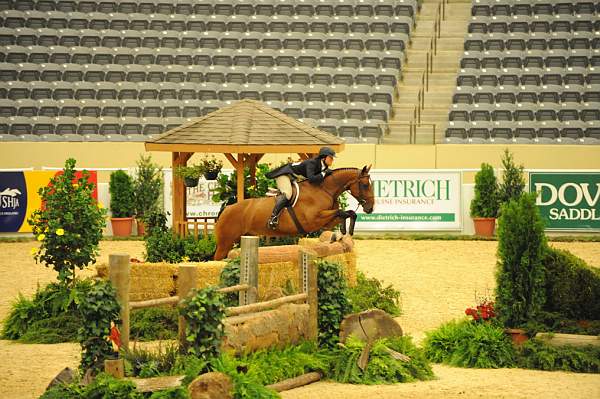 USHJA-Derby-8-20-10-DER_8239-QRnd1-CR Haribo-ColleenAcosta-DDeRosaPhoto.jpg