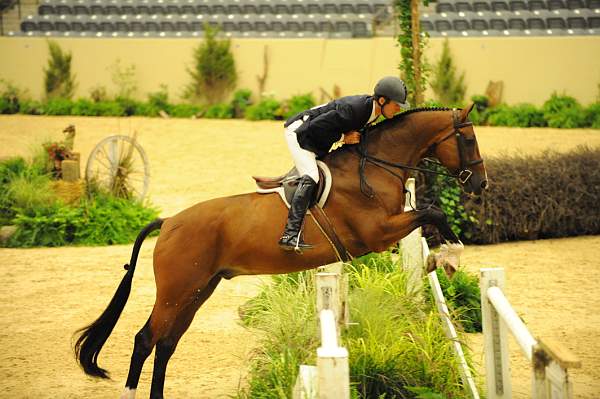 USHJA-Derby-8-20-10-DER_8254-QRnd1-Lonestar-HuntTosh-DDeRosaPhoto.jpg