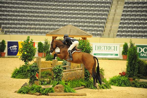 USHJA-Derby-8-20-10-DER_8262-QRnd1-Lonestar-HuntTosh-DDeRosaPhoto.jpg