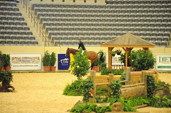 USHJA-Derby-8-20-10-DER_8271-QRnd1-Lonestar-HuntTosh-DDeRosaPhoto.jpg