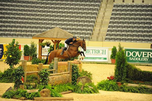 USHJA-Derby-8-20-10-DER_8272-QRnd1-Lonestar-HuntTosh-DDeRosaPhoto.jpg