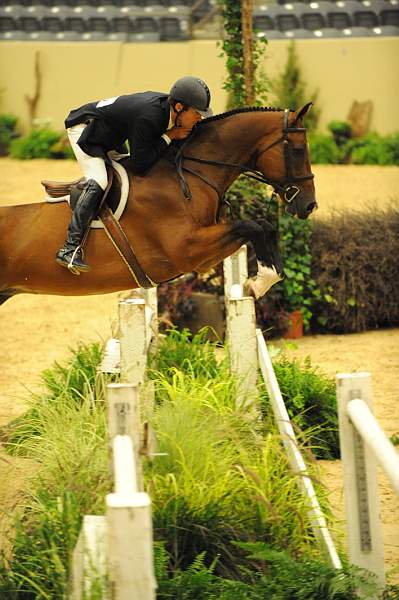 USHJA-Derby-8-20-10-DER_8278-QRnd1-Lonestar-HuntTosh-DDeRosaPhoto.jpg