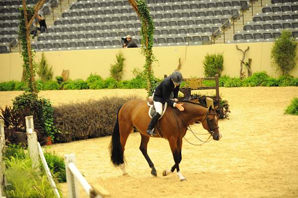 USHJA-Derby-8-20-10-DER_8284-QRnd1-Lonestar-HuntTosh-DDeRosaPhoto.jpg