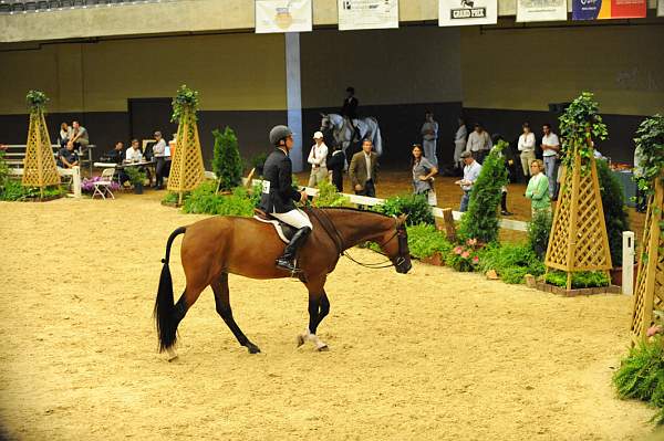 USHJA-Derby-8-20-10-DER_8286-QRnd1-Lonestar-HuntTosh-DDeRosaPhoto.jpg