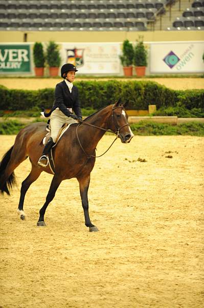 USHJA-Derby-8-20-10-DER_8353-QRnd1-DailyDevotion-JessicaWarren-DDeRosaPhoto.jpg
