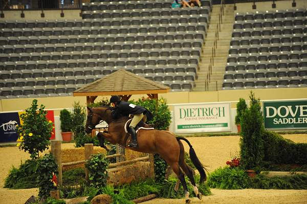 USHJA-Derby-8-20-10-DER_8375-QRnd1-Primera-CatherineRinehart-DDeRosaPhoto.jpg
