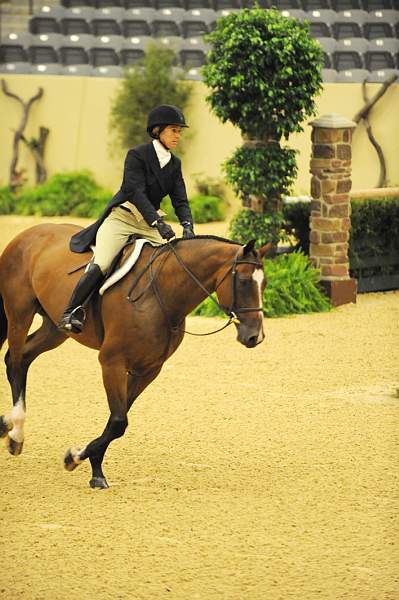 USHJA-Derby-8-20-10-DER_8381-QRnd1-Primera-CatherineRinehart-DDeRosaPhoto.jpg