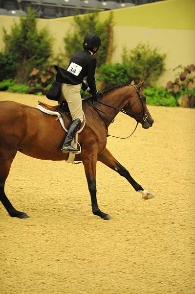 USHJA-Derby-8-20-10-DER_8546-QRnd1-Rosalynn-KelleyFarmer-DDeRosaPhoto.jpg