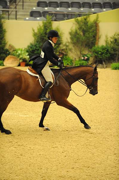 USHJA-Derby-8-20-10-DER_8558-QRnd1-Rosalynn-KelleyFarmer-DDeRosaPhoto.jpg