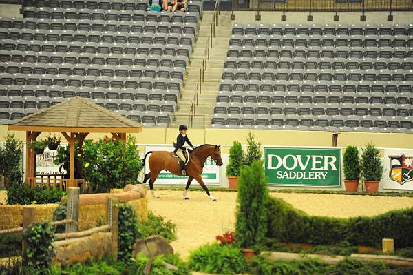 USHJA-Derby-8-20-10-DER_8604-QRnd1-Genuine-LillieKeenan-DDeRosaPhoto.jpg