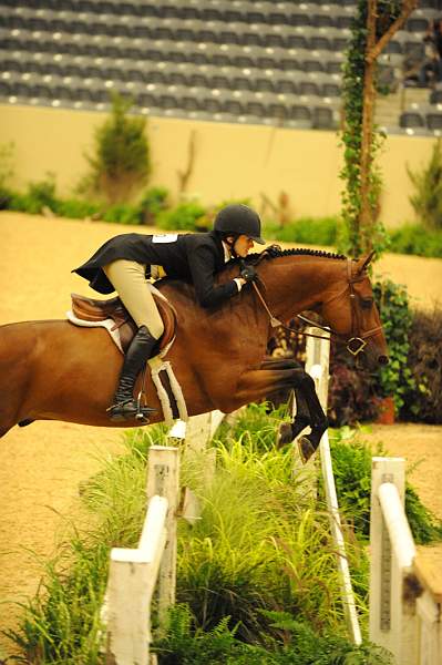 USHJA-Derby-8-20-10-DER_8669-QRnd1-EarlyApplause-MaggieJayne-DDeRosaPhoto.jpg