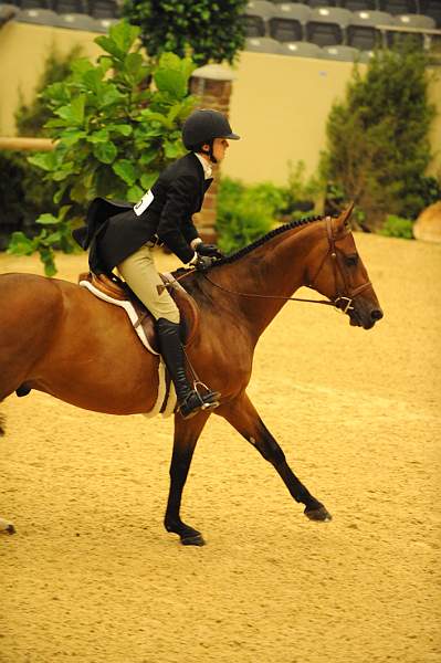 USHJA-Derby-8-20-10-DER_8670-QRnd1-EarlyApplause-MaggieJayne-DDeRosaPhoto.jpg