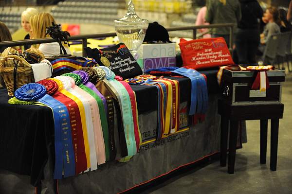 USHJA-Derby-8-20-10-DER_8356-QRnd1-DDeRosaPhoto.jpg
