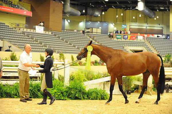 USHJA-Derby-8-20-10-DER_9092-QRnd1-Poetic-MaggieBoylan-DDeRosaPhoto.jpg