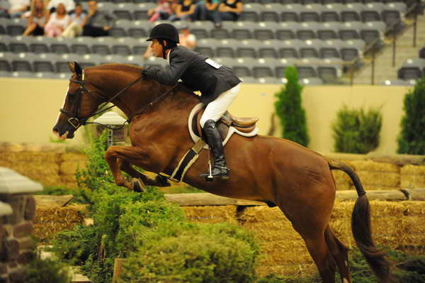 USHJA-Derby-8-21-10-Rnd2-DER1_9575-Westview-PeterPletcher-DDeRosaPhoto.JPG