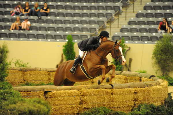 USHJA-Derby-8-21-10-Rnd2-DER1_9577-Westview-PeterPletcher-DDeRosaPhoto.JPG