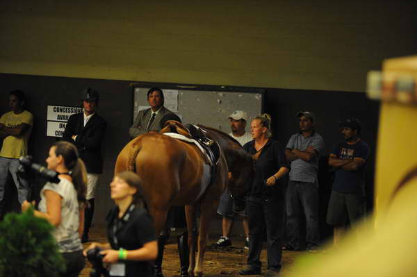 USHJA-Derby-8-21-10-Rnd2-DER1_9621-DDeRosaPhoto.JPG