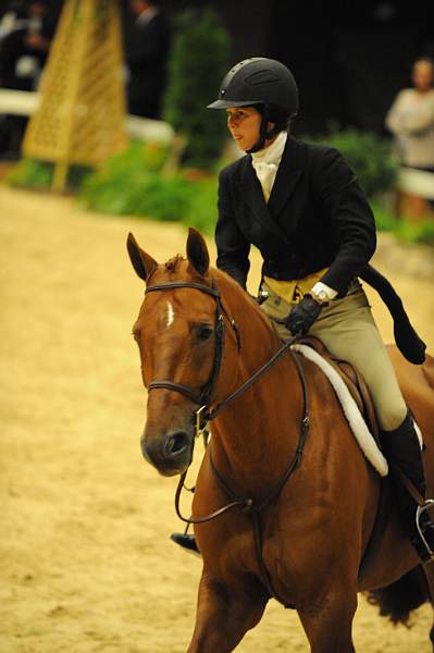 USHJA-Derby-8-21-10-Rnd2-DER1_9735-Brunello-ElizabethBoyd-DDeRosaPhoto.JPG