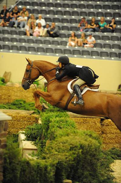 USHJA-Derby-8-21-10-Rnd2-DER1_9739-Brunello-ElizabethBoyd-DDeRosaPhoto.JPG