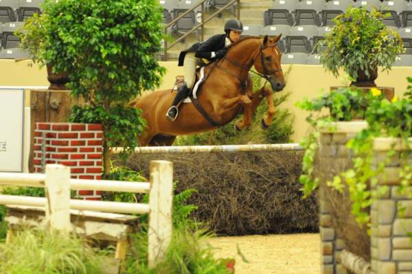 USHJA-Derby-8-21-10-Rnd2-DER1_9740-Brunello-ElizabethBoyd-DDeRosaPhoto.jpg