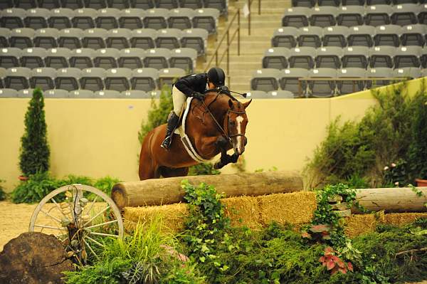 USHJA-Derby-8-21-10-Rnd2-DER1_9861-Taken-KelleyFarmer-DDeRosaPhoto.JPG