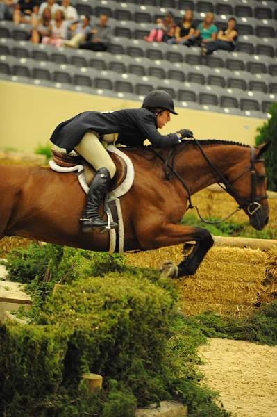 USHJA-Derby-8-21-10-Rnd2-DER1_9872-Poetic-MaggieBoylan-DDeRosaPhoto.JPG