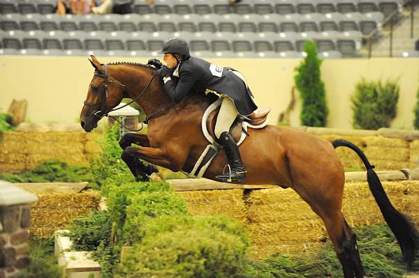 USHJA-Derby-8-21-10-Rnd2-DER1_9875-Poetic-MaggieBoylan-DDeRosaPhoto.jpg