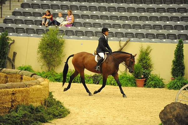 USHJA-Derby-Rnd2-DER2_0001-TellAll-PeterPletcher-DDeRosaPhoto.JPG