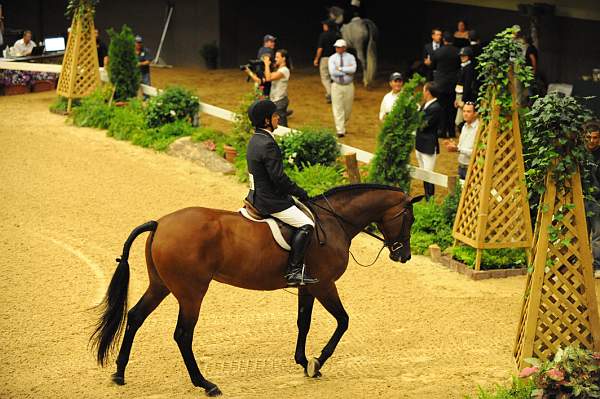 USHJA-Derby-Rnd2-DER2_0104-TellAll-PeterPletcher-DDeRosaPhoto.JPG