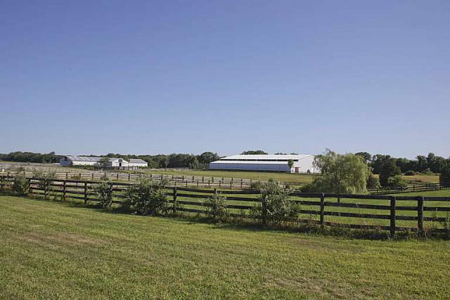 Jamesport Wineton 110812-0011.jpg