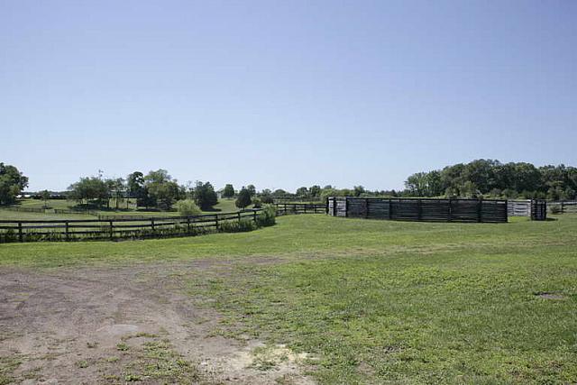 Jamesport Wineton 110812-0210.jpg