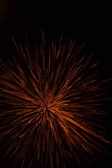 Vivuchi Wedding-11-22-23-2016-0010-DDeRosaPhoto