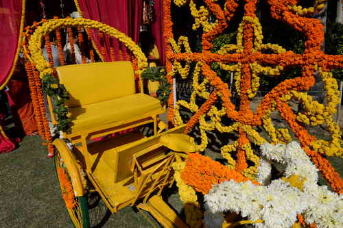 Vivuchi Wedding-11-22-23-2016-9026-DDeRosaPhoto