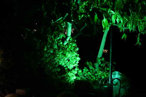 Vivuchi Wedding-11-22-23-2016-9406-DDeRosaPhoto