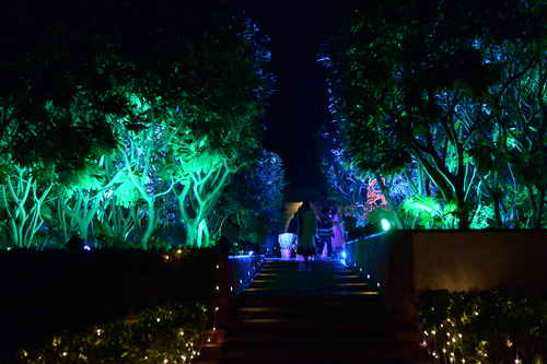 Vivuchi Wedding-11-22-23-2016-9416-DDeRosaPhoto