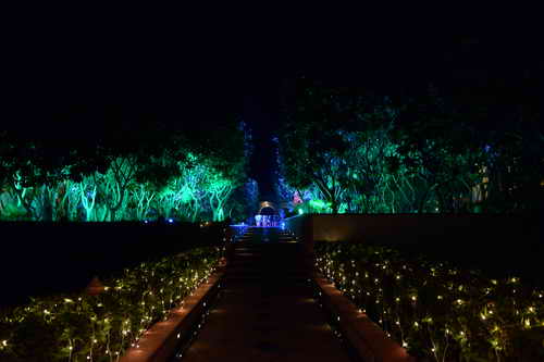 Vivuchi Wedding-11-22-23-2016-9421-DDeRosaPhoto